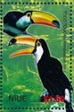 Toco Toucan (Ramphastos toco)