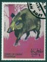 Wild Boar