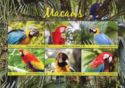 Macaws (1)
