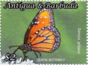 Queen Butterfly (Danaus gilippus)