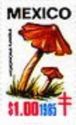 Crimson Waxcap (Hygrophorus puniceus)