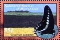 Graphium sarpedon