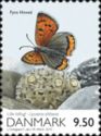 Common Copper (Lycaena phlaeas)