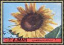 Sunflower (Helianthus annuus)
