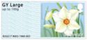Post & Go : Flowers - Guernsey Daffodil