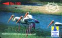 Painted Stork ("Over 1000 Payphone Network")