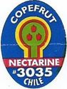 Copefrut Nectarine #4035