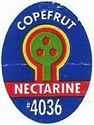 Nectarine #4036