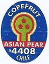 Copefrut Asian Pears #4408