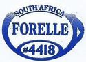 Forelle #4418