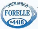 Forelle #4418