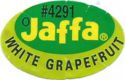 Jaffa White Grapefruit #4291