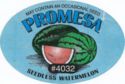 Promesa #4032 Seedless Watermelon