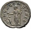 1 Denarius (Severus Alexander for Julia Mamaea)