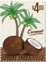 Fruit Trees - Coconut
