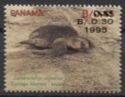 Olive Ridley Sea Turtle (Lepidochelys olivacea) - surcharged