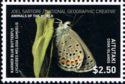 Karner Blue Butterfly (Lycaeides melissa samuelis)