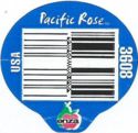 Pacific Rose 3608