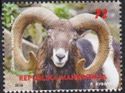 Sheep of Macedonia