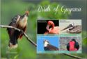Fauna of Guyana: Bird Species