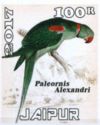 Paleornis Alexandri