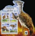 Arabian Bustard (Ardeotis arabs)