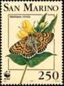 Glanville Fritillary (Melitaea cinxia)