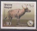 Prehistoric Fauna discovered in Nepal