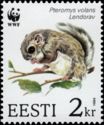 Siberian Flying Squirrel (Pteromys volans)