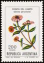 Chinita del campo (Zinnia peruviana) - Phosphor