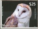Barn owl (Tyto alba)