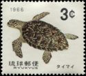 Hawksbill Turtle (Eretmochelys imbricata)