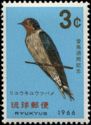 Pacific Swallow (Hirundo javanica)