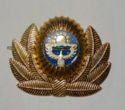 Cap badge