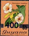 400 on $5 Odontadenia grandiflora