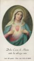 "Saint Mary - Sacred and Immaculate Heart", S.A.G.A. - Roma, Lazio - Madonna