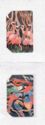 Birds - Flamingoes & Parrots