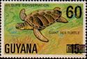 60 on 15c Giant Sea Turtle