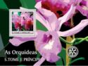 Orchids