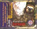 Linnaeus's Two-toed Sloth (Choloepus didactylus)