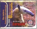 Southern Tamandua (Tamandua tetradactyla)