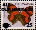"25" and "ALL OUR HERITAGE" on 35c Butterfly