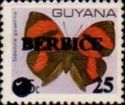 "25" and "BERBICE" on 35c Butterfly