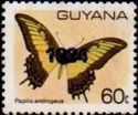 "1984" (small) on 60c Butterfly