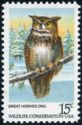 Great Horned Owl (Bubo virginianus)