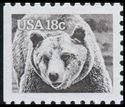 Brown Bear (Ursus arctos)