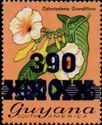 390 on 400 on $5 Odontadenia grandiflora