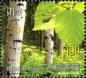 Breza-Birch tree