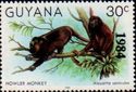 Guianan Red Howler Monkey (Alouatta seniculus), overprinted