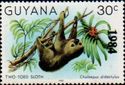 Overprint "1984" on Linnaeus's Two-toed Sloth (Choloepus did